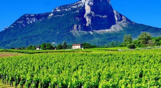 vins-de-savoie- Fotolia.com.jpg