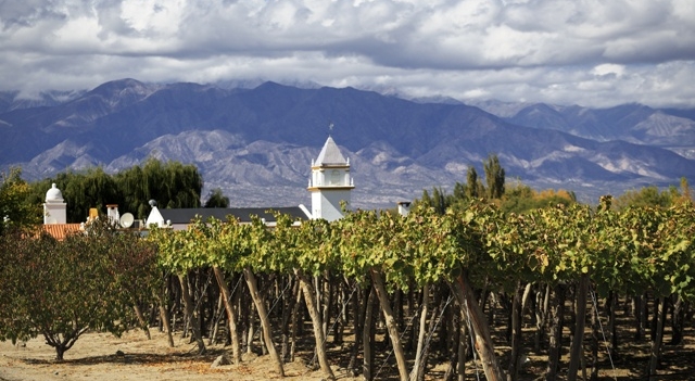 vignoble-cafayate-argentine-sunsinger-compressee.jpg