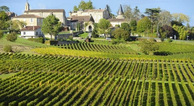 vignes-saint-emilion-Fotolia.com.jpg
