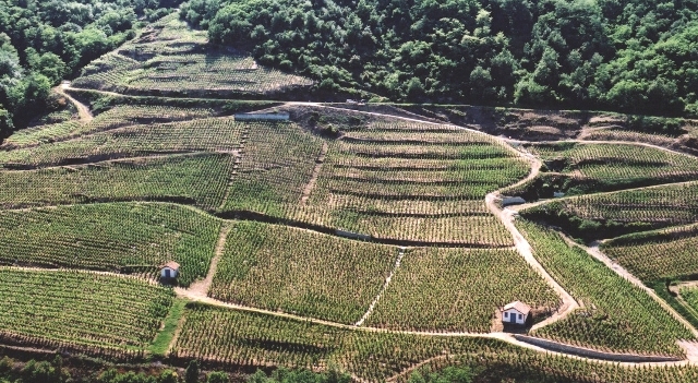 Sensonne_1PEclaircie©M. FOUGEIROL.jpg