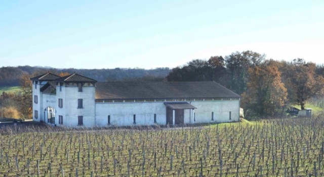 vignoble-des-verdots.jpg