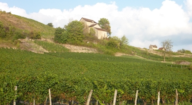 patrick-charlin-bugey.jpg