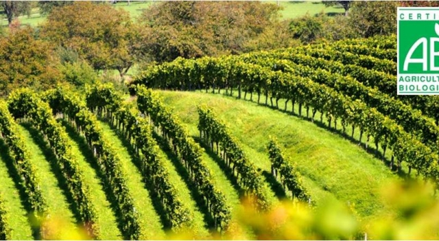 vin-bio-logo-AB.jpg