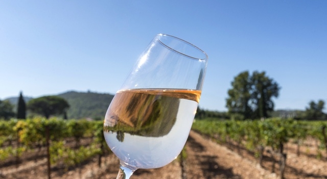 verre-vin-rose-francis bonami - Fotolia.com.jpg