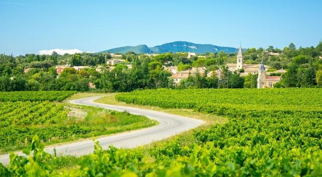 vigne-village-provence-Fotolia.com.jpg