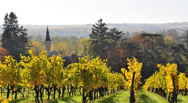 CHATEAU-PIERRE BISE.jpg
