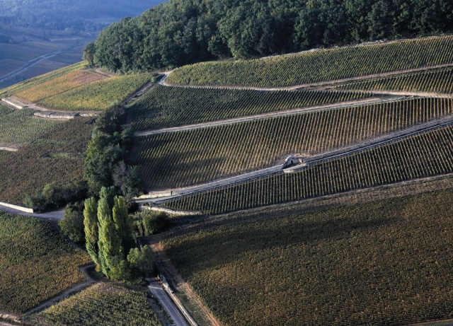 Colline_Corton©Jean-LouisBERNUY.jpg Colline de Corton - Bourgogne