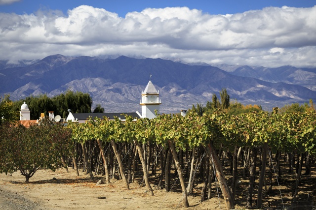 Vignoble Argentin  Cafayate