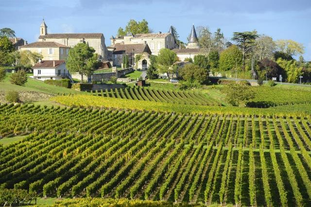 Vignoble de Saint-Emilion, région de Bordeaux