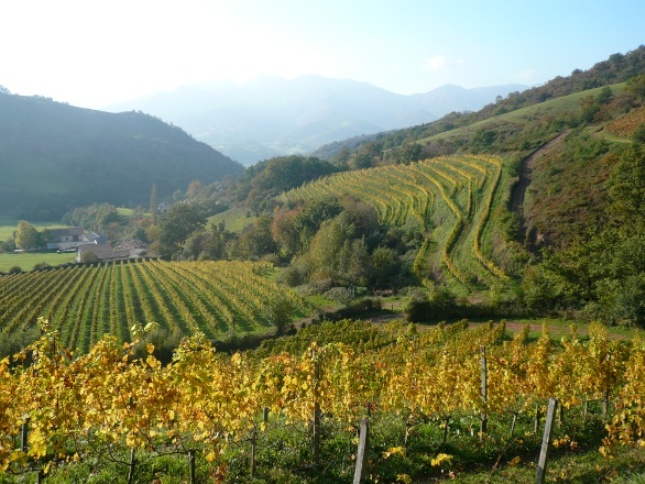 domaine-Arretxea-irouleguy.jpg