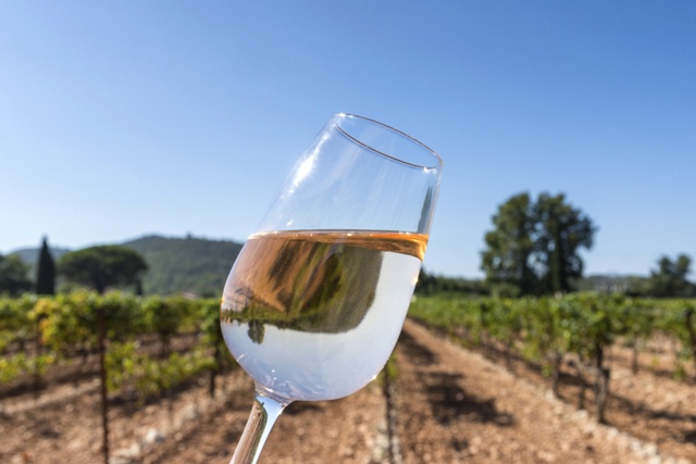 verre-vin-rose-francis bonami - Fotolia.com.jpg