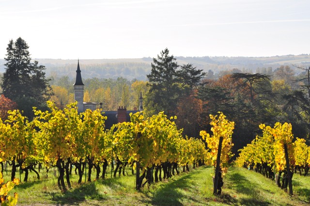 CHATEAU-PIERRE BISE.jpg