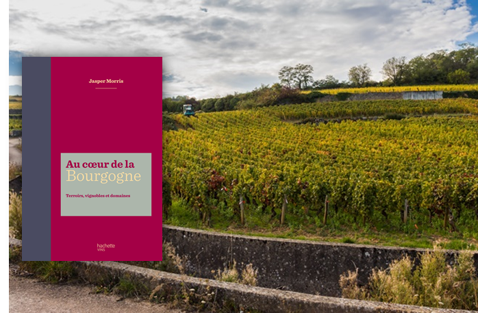 Au-coeur-de-la-Bourgogne-Hachette.png