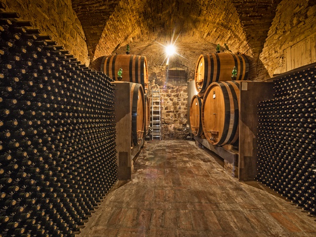 cave à vins