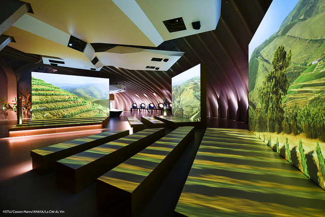 cité du vin.jpg