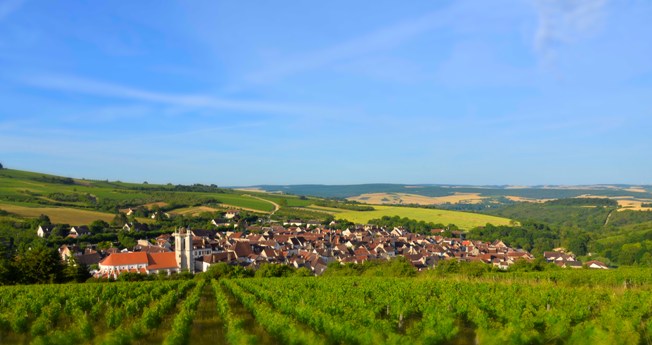 irancy_saint-vincent-tournante.jpg