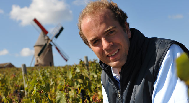 Domaine-Labruyère.jpg