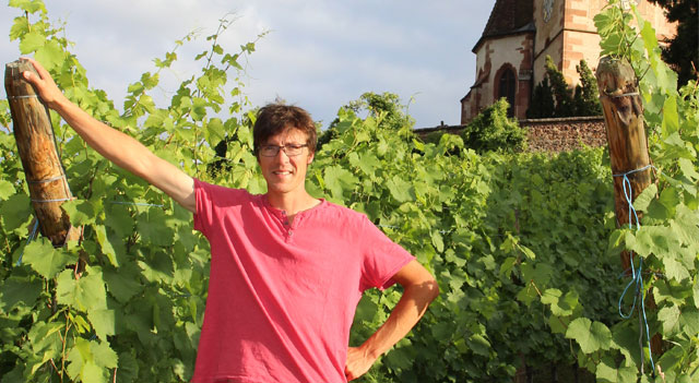 Domaine Mader.jpg
