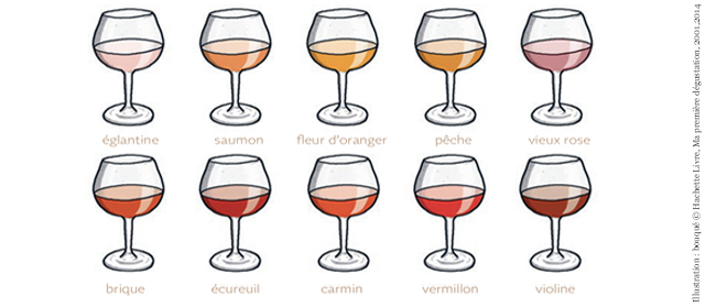 ILLUSTRATION BOUQUÉ.jpg