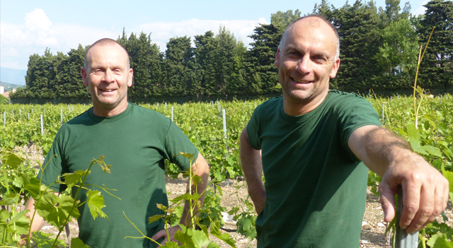 BOIS-SAINT-JEAN-RHONE.jpg