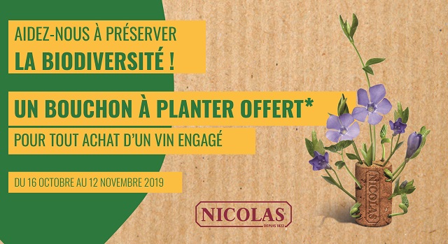 article - vins engagés.jpg