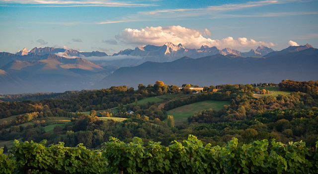 640X350 Jurançon - ©Pierre Carton (2).jpg
