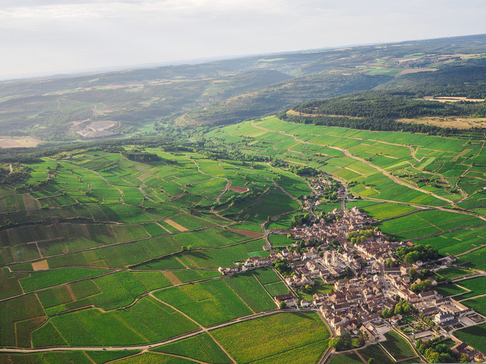 iStock-1170575870.jpg