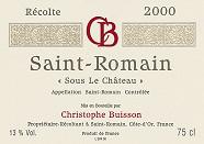 CHRISTOPHE BUISSON Sous le Château  2000