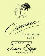 Jean Sipp Osmose 2011
