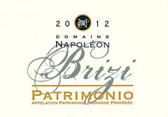 Napoléon Brizi  2012