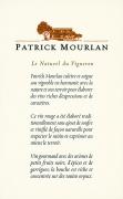 Premier millésime mis en bouteilles au domaine pour Bruno Chamoin et déjà une belle réussite. Un rosé intense, riche en saveurs d'agrumes, de fruit de la Passion et de fleurs blanches, qui garde le goût du fruit exotique dans un palais ample et suave, stimulé par une finale plus vive aux accents citronnés.