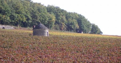 cote-beaune.jpg