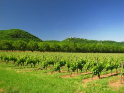 sud-ouest-lot-quercy-Fotolia-Jimjag.jpg