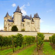 vallee-loire-Saumur-Fotolia-neirfy.jpg