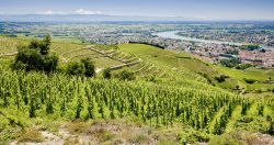 vallee-rhone-tain-hermitage-Fotolia-PHB.cz.jpg