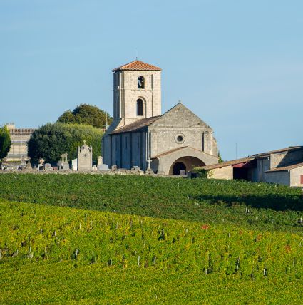 libournais-saint-emilion-vignoble-sous-region-bordelais.jpg