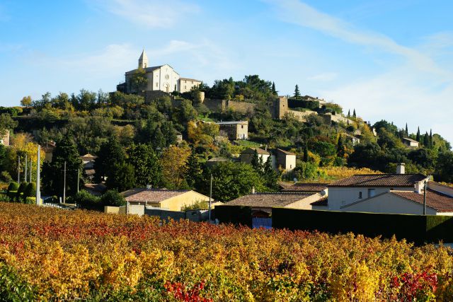 appellations-regionales-vallee-rhone-avenuecom.jpg