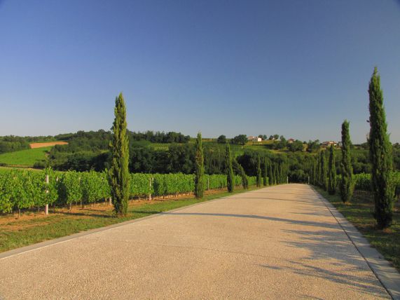 chateaumalrome-sous-region--entre-deux-mers-bordelais--jimjag.jpg