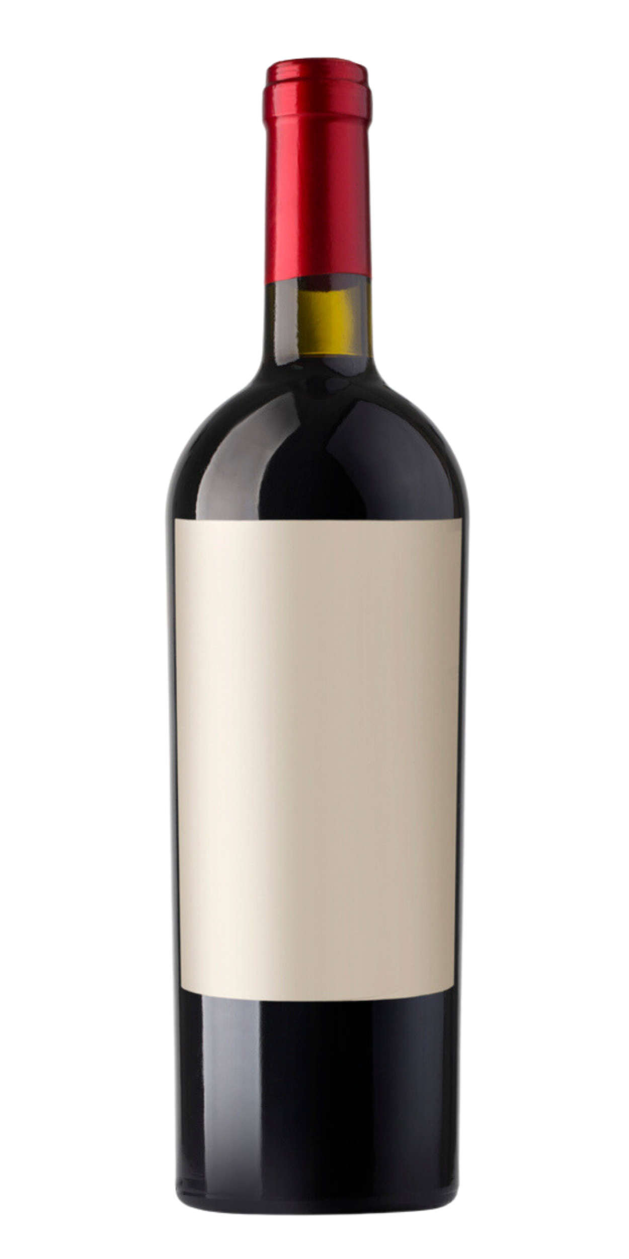 BAUD PÈRE ET FILS Trousseau 2014