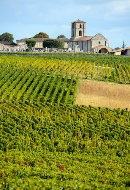 vignoble Bordeaux