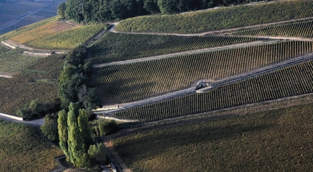 Colline_Corton©Jean-LouisBERNUY.jpg