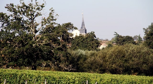 DOMAINE-DU-PETIT-CLOCHER- ANJOU.JPG