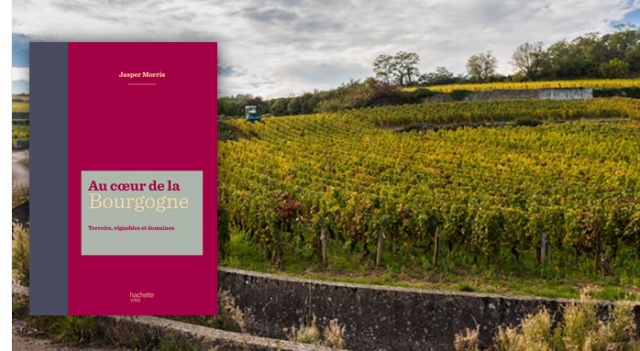 Au-coeur-de-la-Bourgogne-Hachette.png