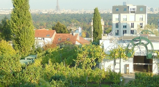 vignes-de-suresnes.jpg
