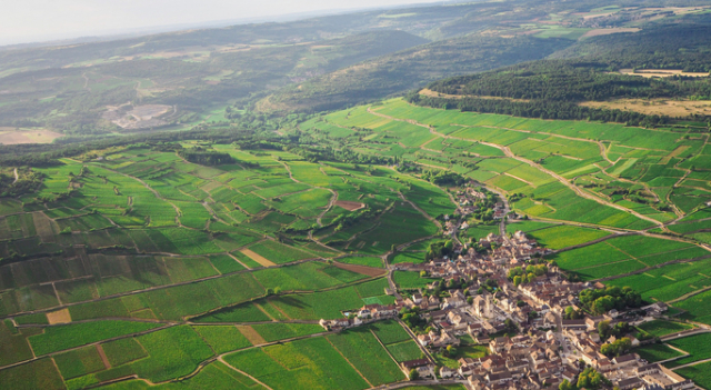 iStock-1170575870.jpg