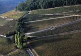 Colline de Corton - Bourgogne