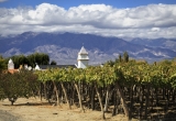 Vignoble Argentin  Cafayate