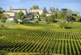 Vignoble de Saint-Emilion, région de Bordeaux