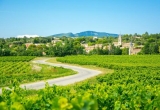 Vigne et village en Provence