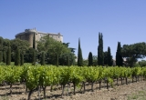 Chateau de Suze la Rousse, siège de l'université du vin